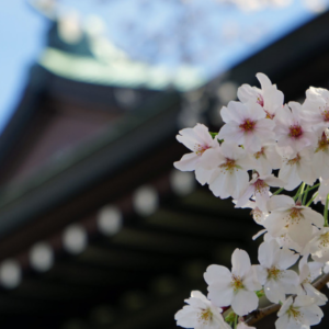 今年の8月15日も靖国神社へ
